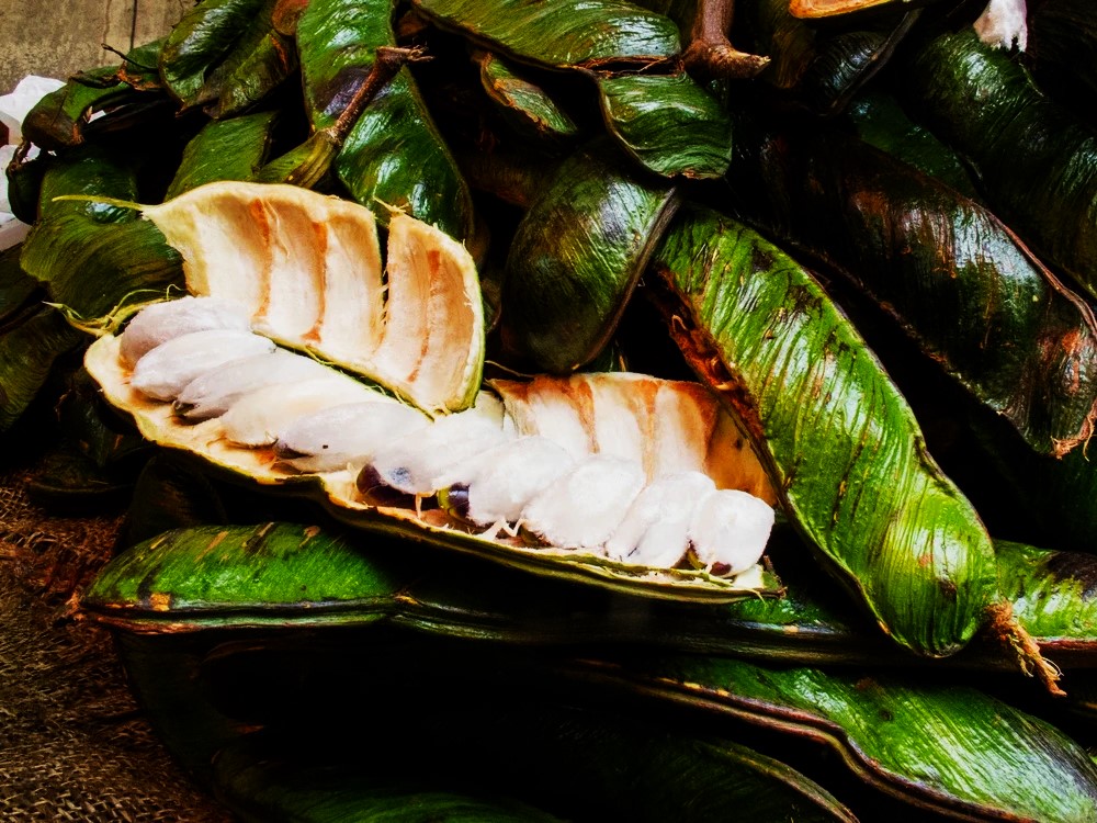 Ice Cream Bean Tree Info And Tips On Growing Ice Cream Bean Trees What İs The Best Fertilizer For İce Cream Bean Tree And How Do You Grow An İce Cream Bean Tree