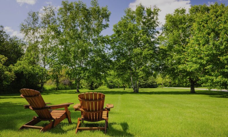 7 Trees That Will Devalue Your Home