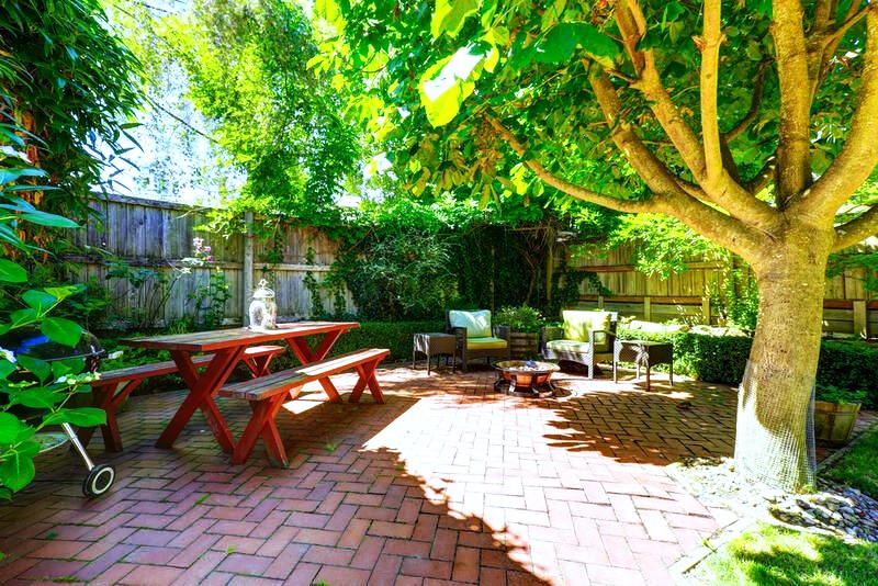 What İs The Best Tree For The Front Yard