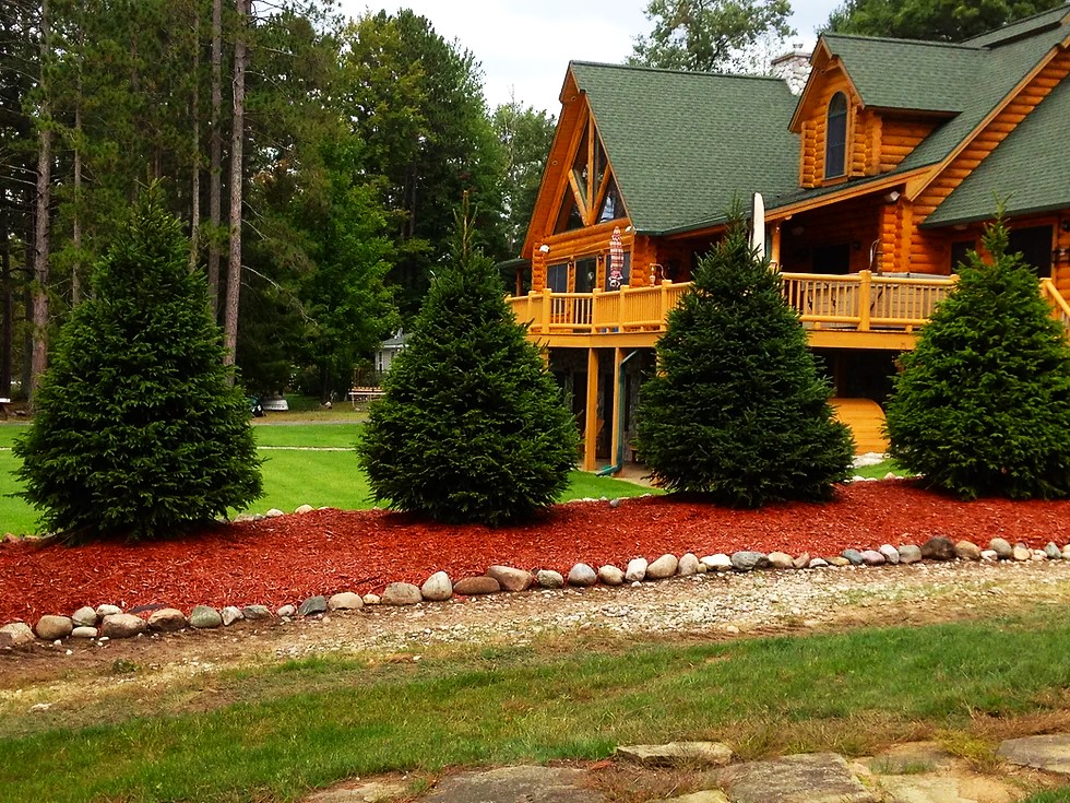 Which Cypress Tree Grows Fastest?