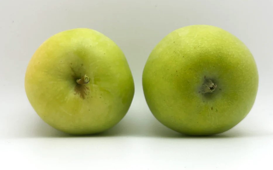 Earligold Apple Tree