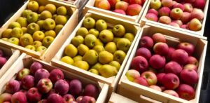 Autumn Crisp Tree Info