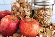 What Are The Best Apples For Canning Apples