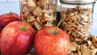 What Are The Best Apples For Canning Apples